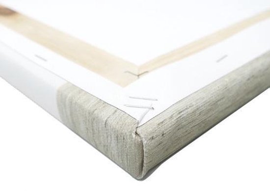 Affiche de jardin American Shorthair tacheté Argent 40x30 cm - petit - Toile de jardin / Toile d'extérieur / Peintures d'extérieur (décoration de jardin)