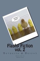 Flashy Fiction Vol.2