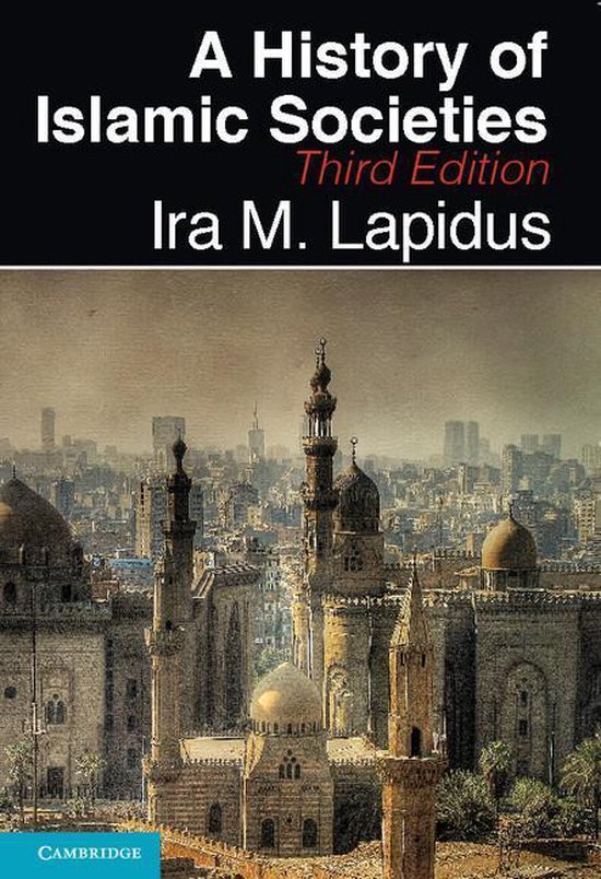 A History of Islamic Societies - cover