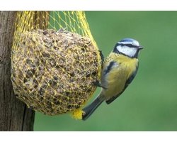 100 vetbollen - voor buitenvogels