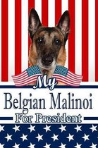 My Belgian Malinoi for President