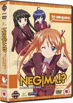 Negima Complete Series  + 2 Ovas Box Set