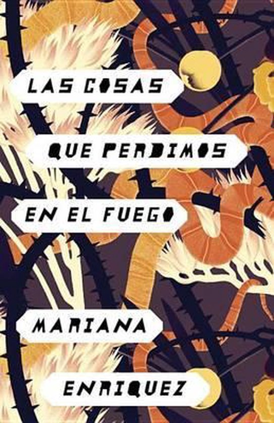 Las cosas que perdimos en el fuego, Mariana Enriquez 9780525432548 Boeken Las cosas que perdimos en el fuego, Mariana Enriquez 9780525432548 Boeken