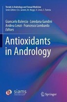 Antioxidants in Andrology