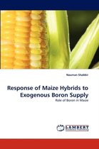 Response of Maize Hybrids to Exogenous Boron Supply