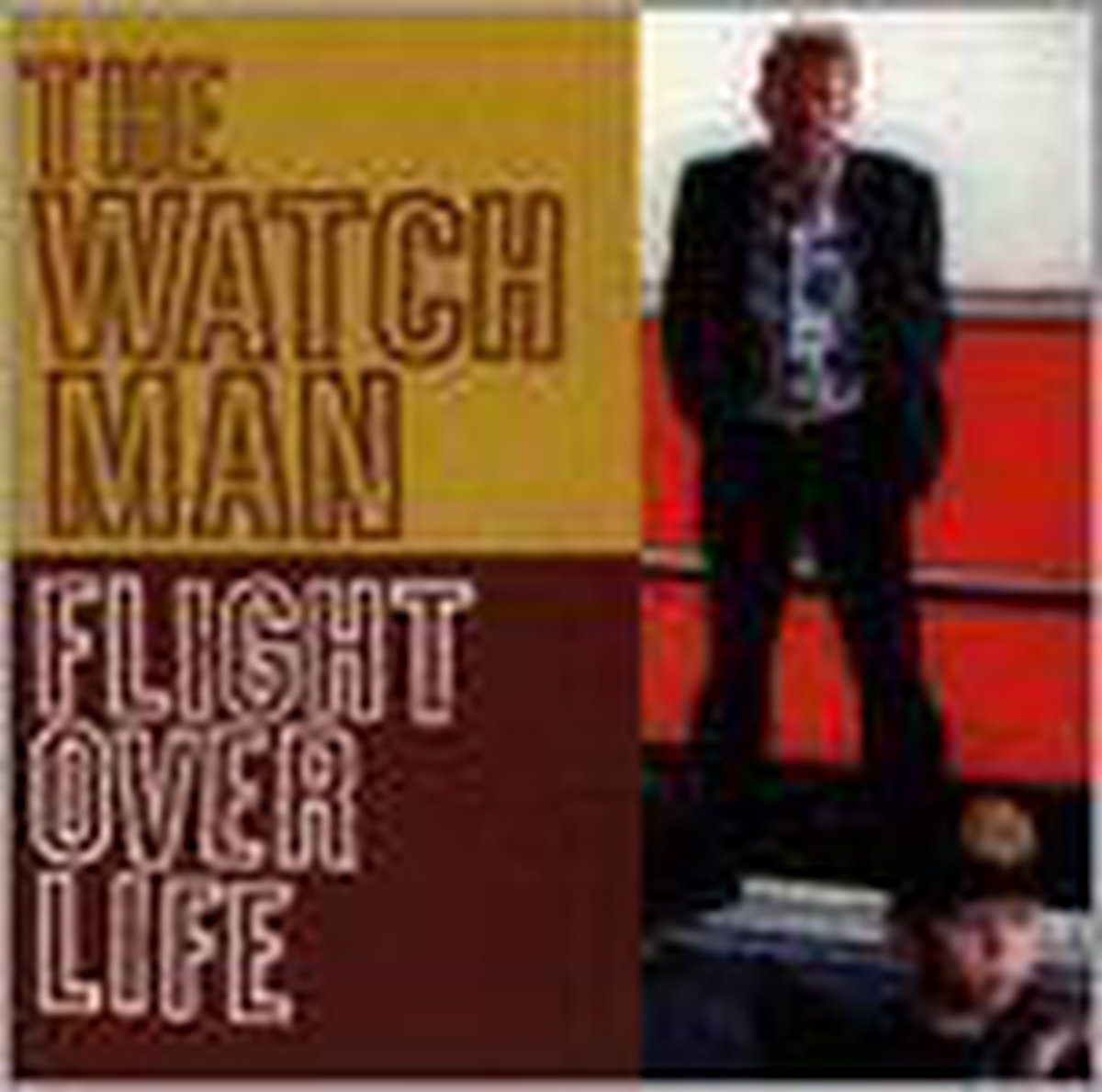 Flight Over Life