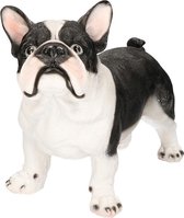 Dierenbeelden staande Franse Bulldog hond - 38 - 19 x 30 cm - beeld