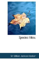 Species Filicu,