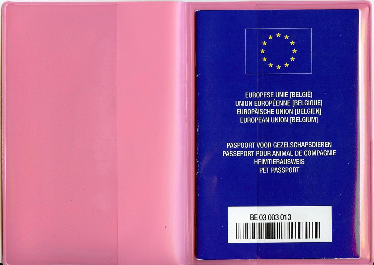 De identiteitskaart voor kinderen onder de 12 jaar (Kids-ID) in het