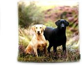 Labrador sierkussen hond labradors honden thema dieren cadeaus