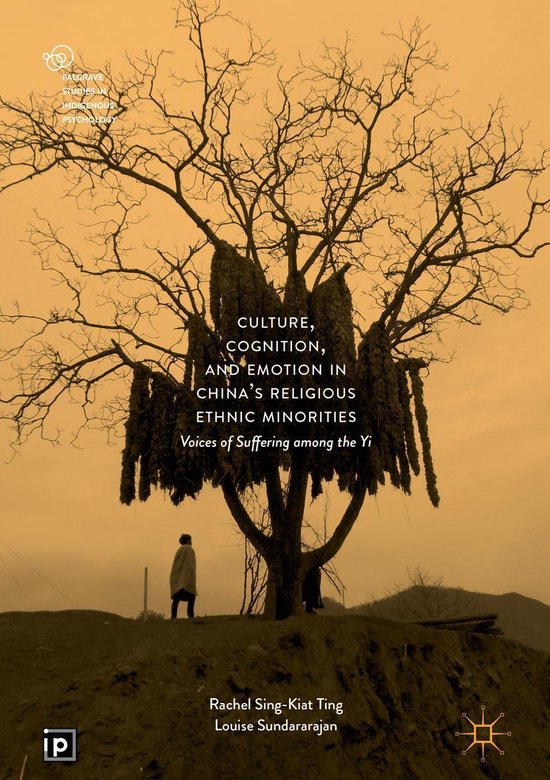 Social Sciences (R0) - Culture, Cognition, and Emotion in Ch ... - cover