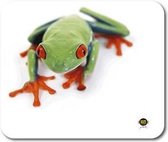 ALLSOP - Mouse Pad - Hana Deka Tree Frog