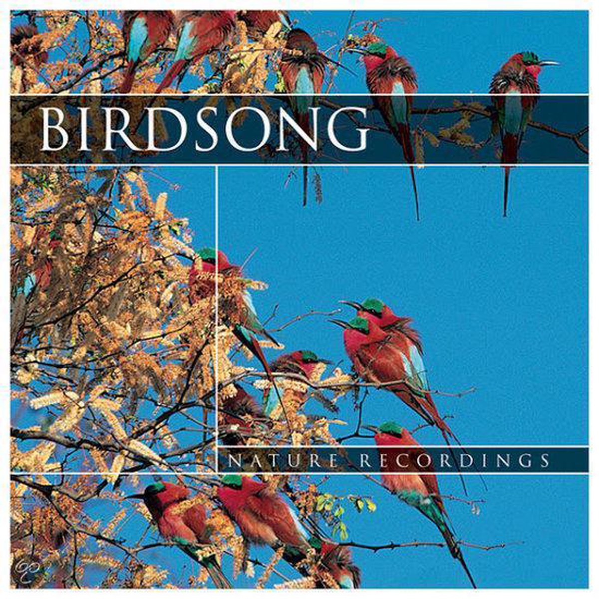 Birdsong (sounds only)