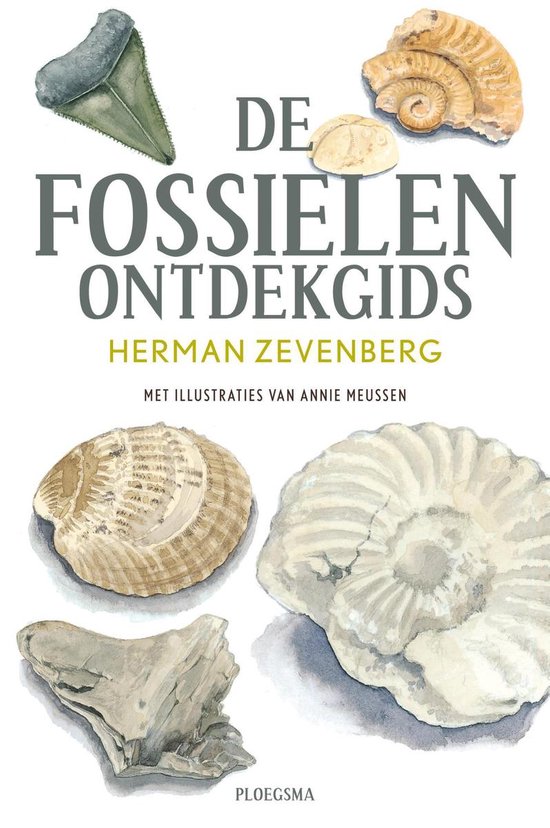 Foto: De fossielen ontdekgids