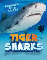 Swimming with Sharks - Tiger Sharks