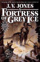 A Fortress of Grey Ice