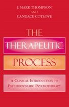 The Therapeutic Process