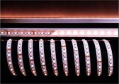 KapegoLED Flexible LED stripe, 5050-96-24V-RGB+4200K-5m, RGB + neutral white, constant voltage, 24V DC, power / power consumption: 115,00 W / 115,00 W, length: 5000 mm, EEC: A, IP20