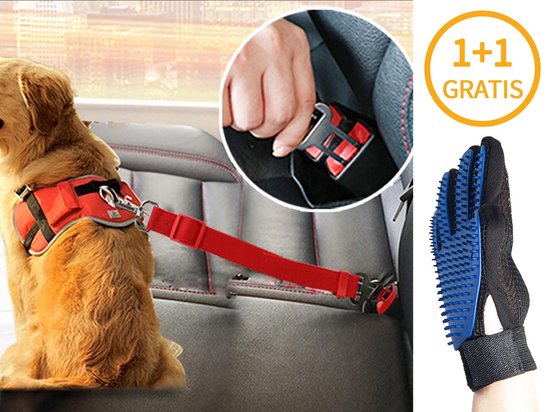 Hondengordel met Hondenborstel - Vacht Verzorging Massage Borstel - Honden Katten Huisdieren - Verzorgingsborstel Handschoen - Gordel Riem Autogordel Seat Belt - Voordeelpack