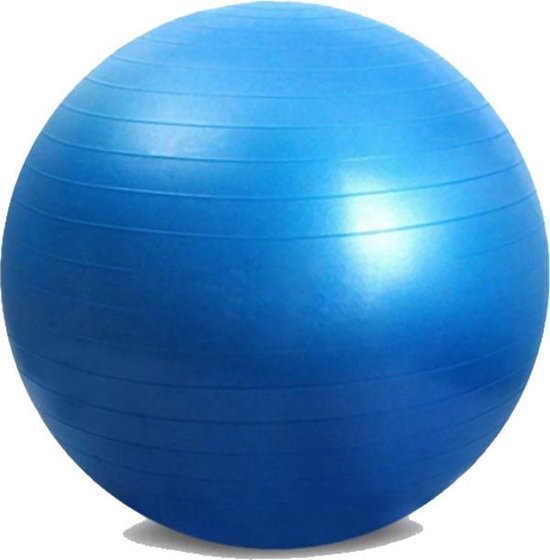 DW4Trading® fitness gym bal cm blauw |