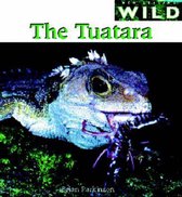 The Tuatara, The