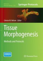 Methods in Molecular Biology- Tissue Morphogenesis