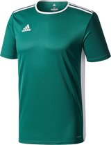 adidas Entrada 18 SS Jersey Teamshirt Junior Sportshirt - Maat 164  - Unisex - groen/wit