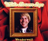 Wonderwall Oasis Cover