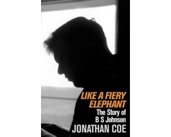 Omslag van Like a Fiery Elephant