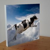 Wandbord 'Vliegende koe'