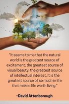''It seems to me that the natural world is the greatest source of excitement; the greatest source of visual beauty; the greatest source of intellectual interest. It is the greatest source of 