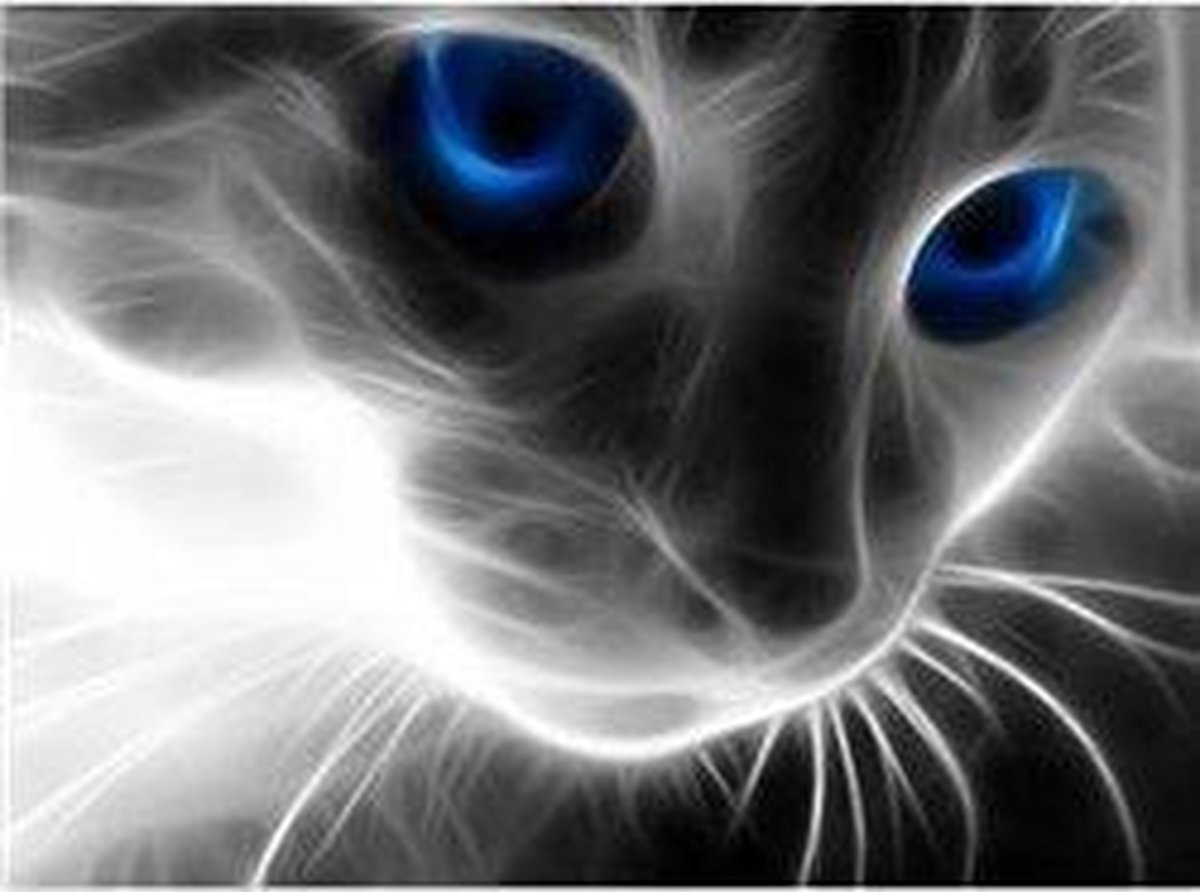 Full Diamond Painting- Kat met Blauwe Ogen