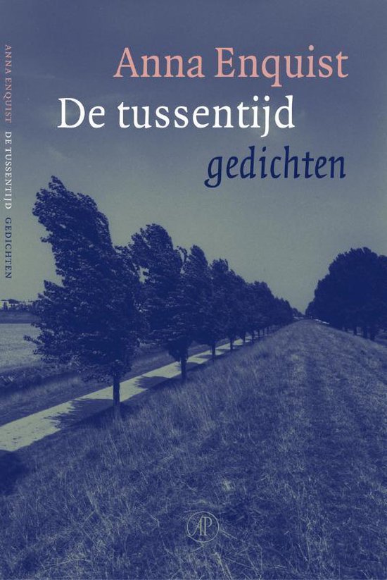 Cover van het boek 'De tussentijd' van Anna Enquist