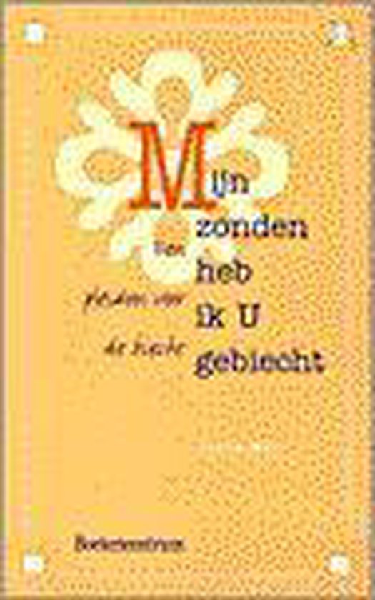 9789023918653 - Mijn zonden heb ik u gebiecht