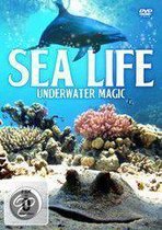 Sea Life Underwater Magic