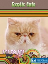 Eye to Eye with Cats - Exotic Cats