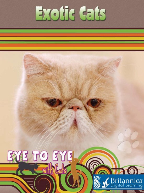 Eye to Eye with Cats - Exotic Cats - cover