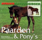 Paarden & Pony'S
