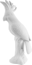 Statue Cockatoo ceramic matt white