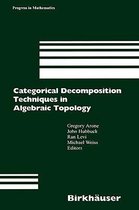 Categorical Decomposition Techniques in Algebraic Topology