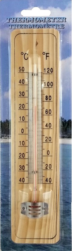 Hangen Veeg Jane Austen Thermometer geschikt voor Binnen en Buiten - hout - 22 cm x 5 cm | bol.com