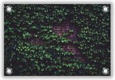 Tuinposter Plantenwand 60x40cm- Foto op Tuinposter (wanddecoratie voor buiten en binnen)