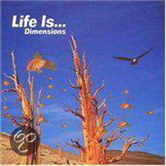 Life Is Dimension