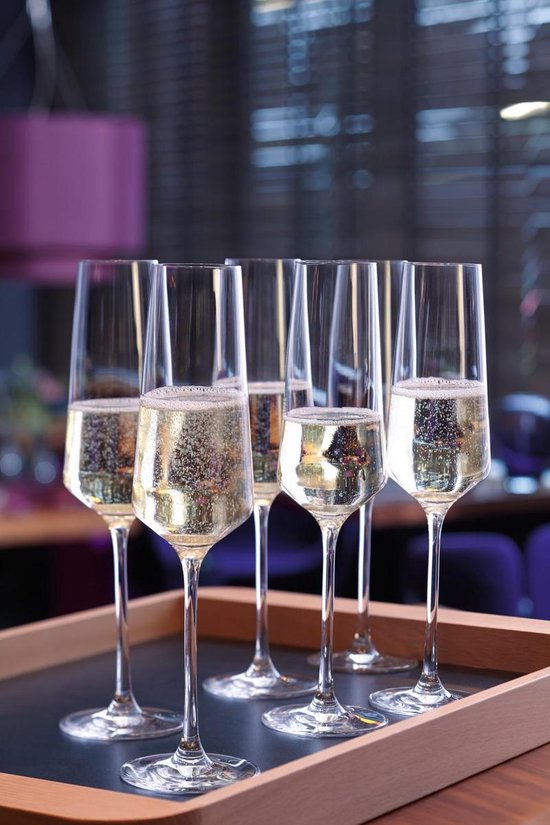 hel laten vallen Scheur Leonardo Puccini Champagneglas - 280 ml - 6 stuks | bol.com