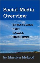 Social Media Overview: Strategies for Small Business