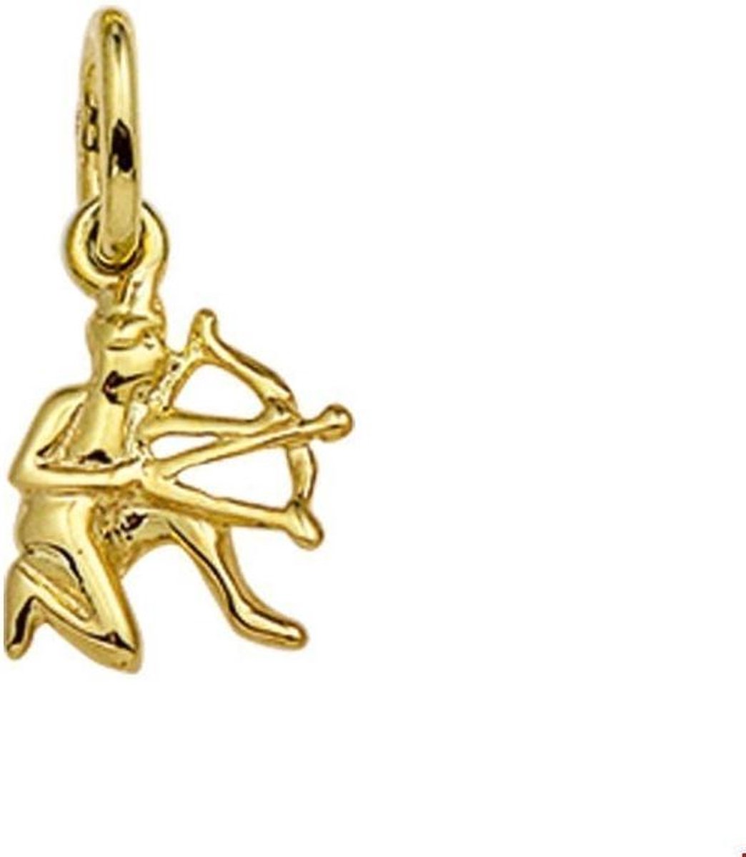 Geelgouden Hanger sterrenbeeld boogschutter 4006444