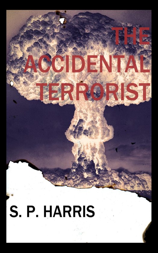 The Accidental Terrorist - cover