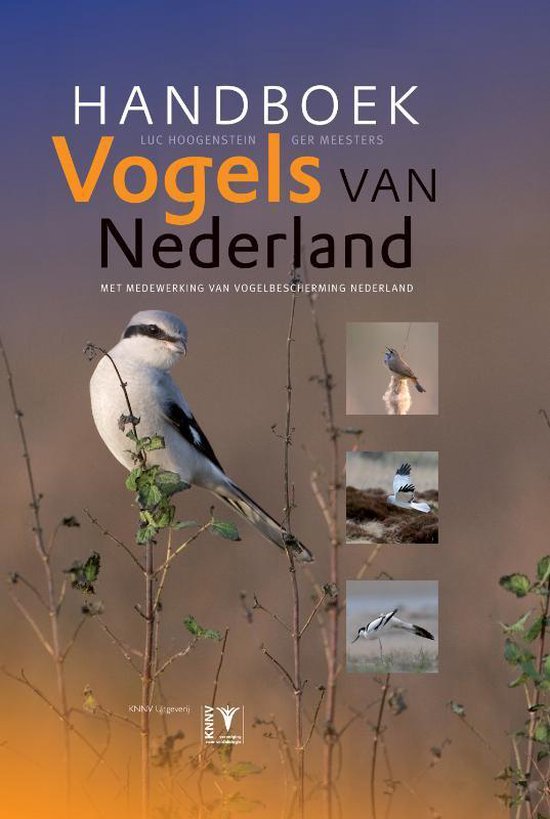 Handboek vogels van Nederland - Luc Hoogenstein | Tiliboo-afrobeat.com