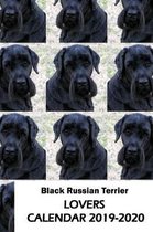 Black Russian Terrier Lovers Calendar 2019-2020