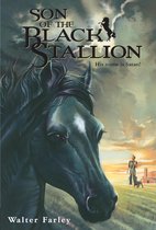 Black Stallion - Son of the Black Stallion